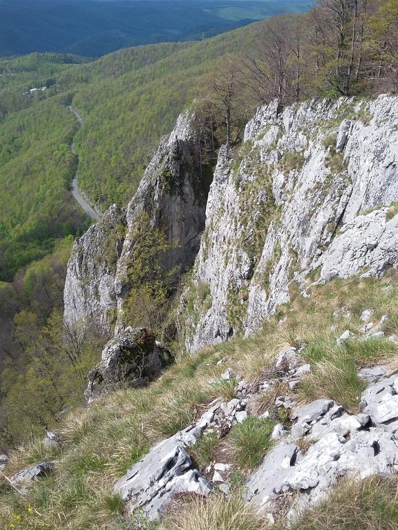 Pensiunea Piatra Graitoare Въртоп Екстериор снимка